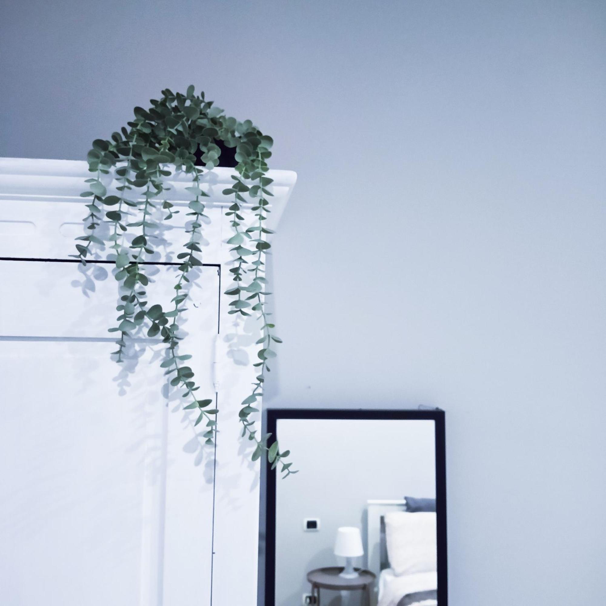 Candia Sweet Home Rome Extérieur photo